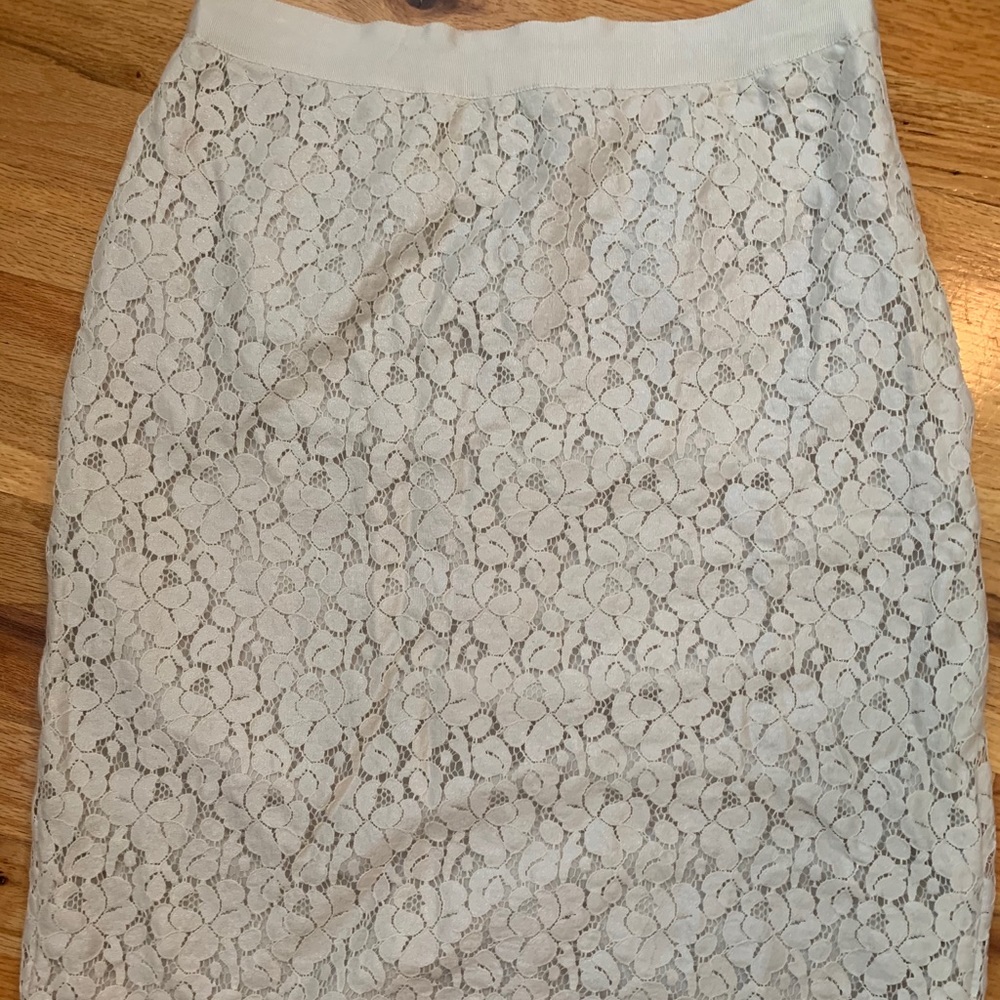 Gorgeous Lace pencil skirt